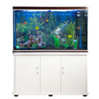 Aquarium fish tank with vibrant aquatic plants, colorful fish, and black gravel, paired with a sleek white cabinet for storage