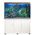 White aquarium fish tank with natural gravel, vibrant plants, colorful fish, and a sleek cabinet base for storage and support