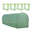Green polytunnel greenhouse with a transparent cover and four sturdy racking shelves, ideal for gardening and plant storage