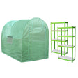 Green polytunnel greenhouse with a rounded top, featuring a side window, alongside a sturdy green racking unit with white shelves