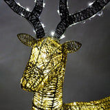 Elegant gold stag and doe reindeer set with intricate wire detailing and warm white lights, perfect for festive decor