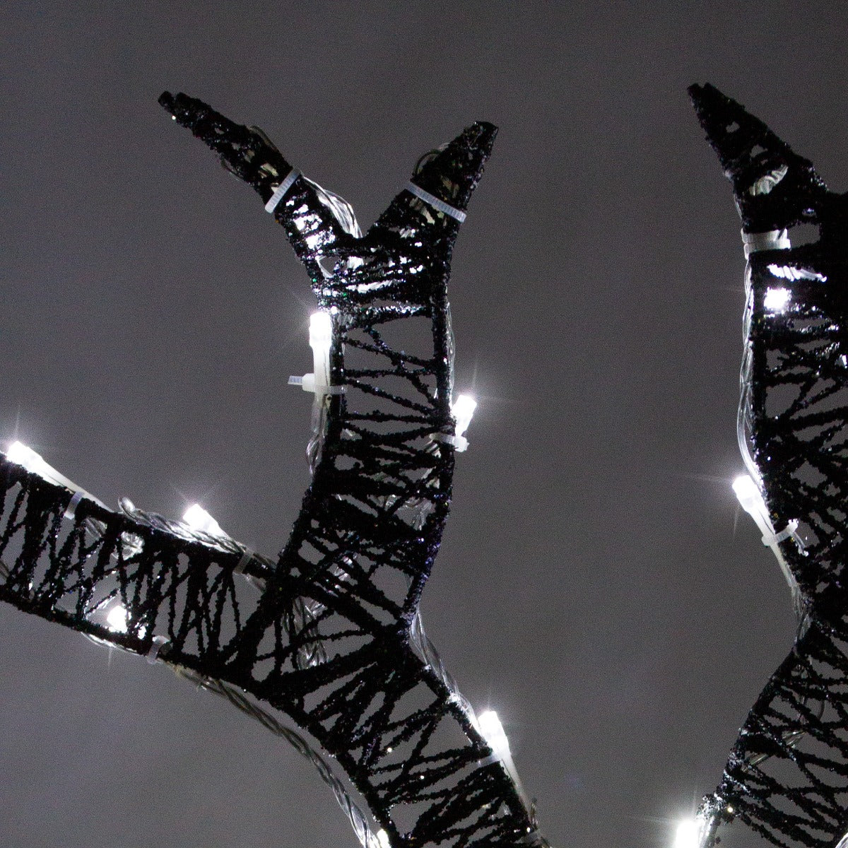 Glowing black metal reindeer antlers adorned with bright white lights, creating a festive and enchanting holiday display