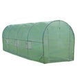 Transparent green polytunnel greenhouse, 6m x 3m, featuring a sturdy 25mm frame and multiple ventilation windows for optimal growth